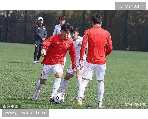 德足协青年队改革,U21联赛扩容 德足协青年队改革,U21联赛扩容